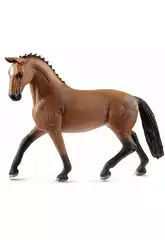 Mare Hannover
