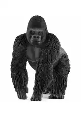 Gorille Mâle