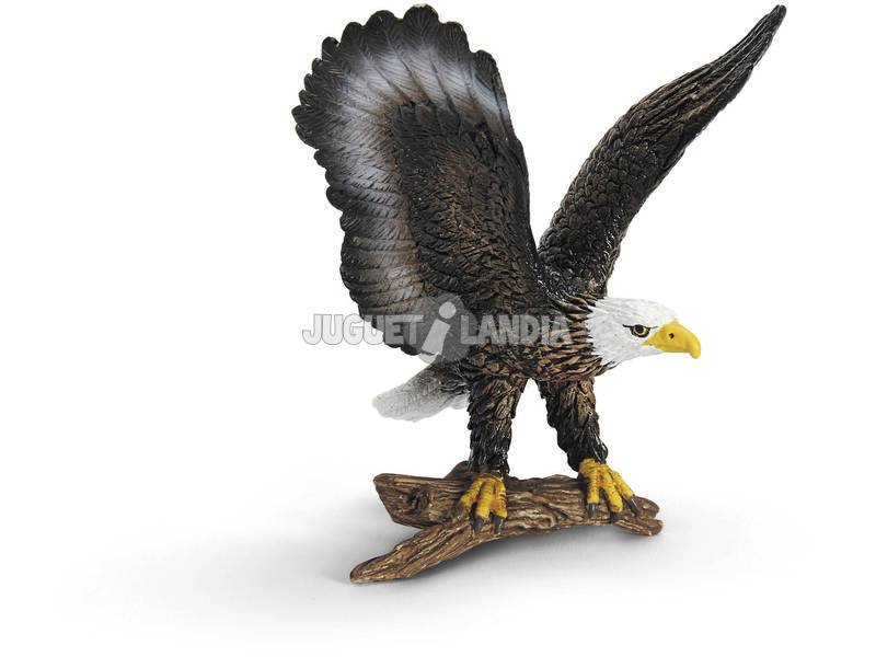 Águila Calva Americana