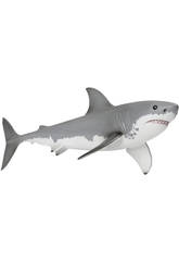 Requin Blanc