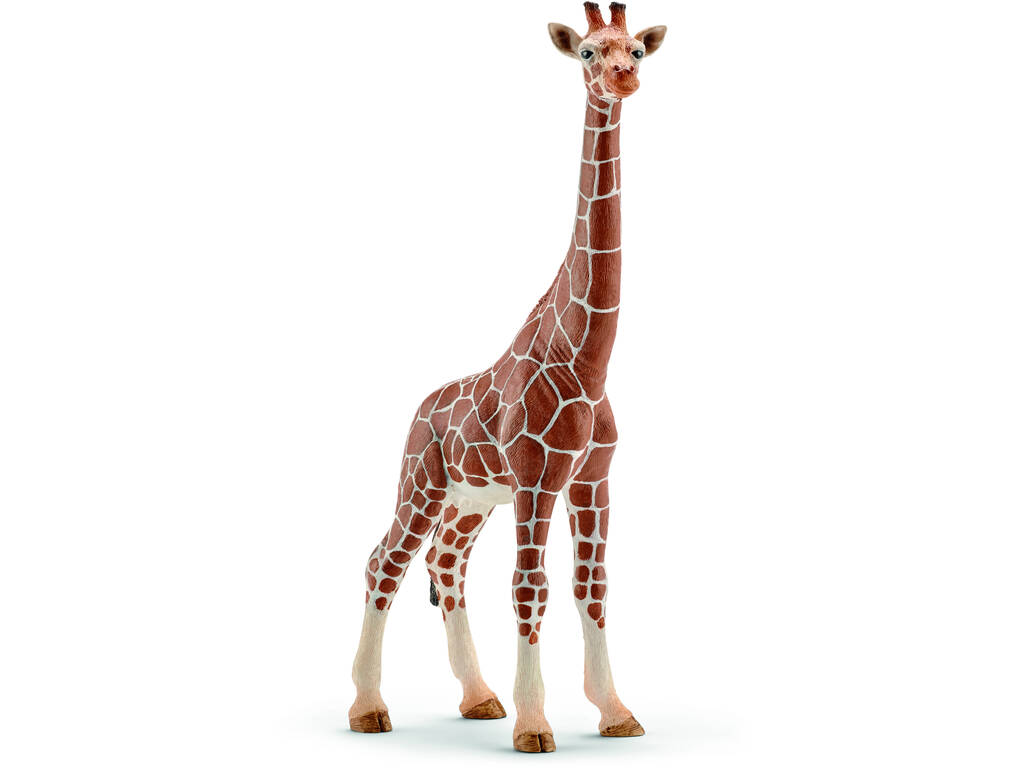 Jirafa Hembra Schleich 14750