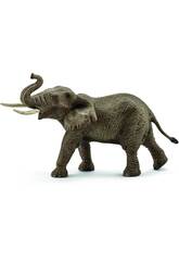 Elefante Maschio Africano 