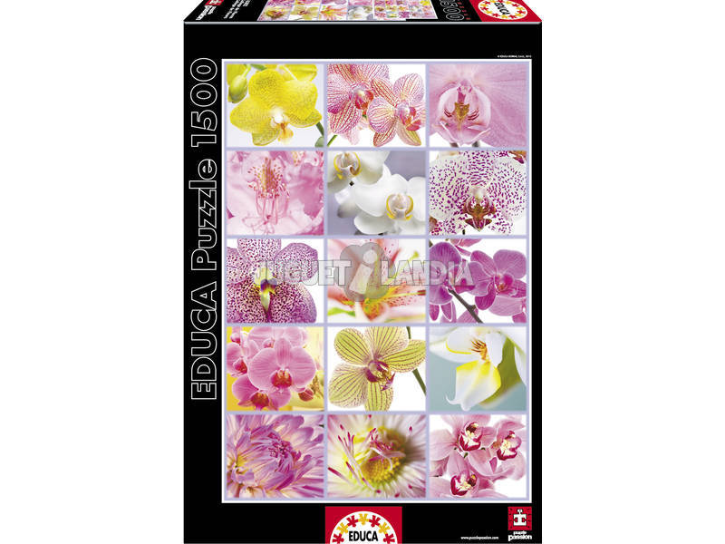 Puzzle 1500 Collage de Flores