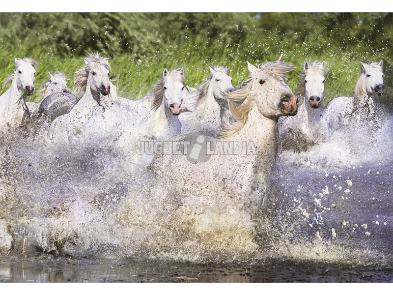 Quebra-cabeça 1000 Cavalos Brancos da Camargue
