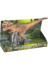 Tyrannosaurus 31 cm.
