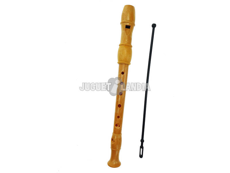 Flöte mit Lernmethode und Reiniger Reig 280