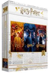Harry Potter Puzzle 1000 Pezzi Personaggio Asmodee SDTWRN23239