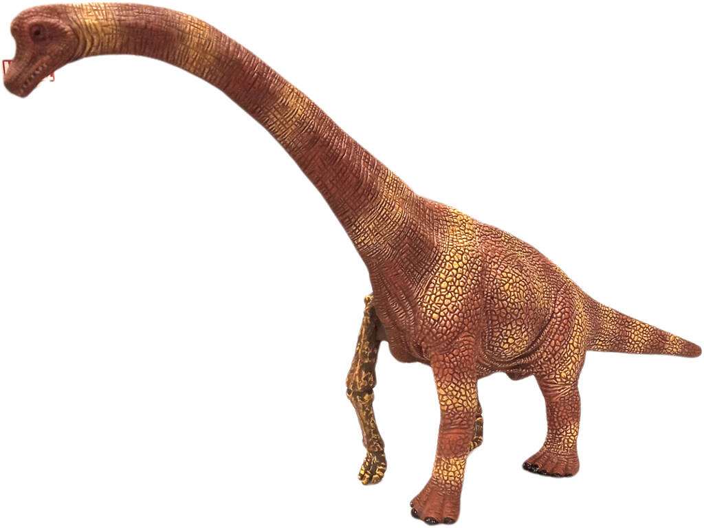 Brachiosauro 32 cm.