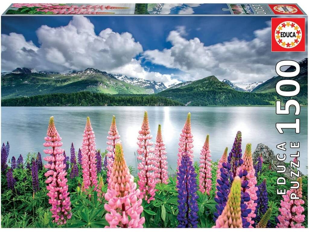 Puzzle 1500 Fiori di lupini sulle rive del lago di Sils in Svizzera Educa 19271