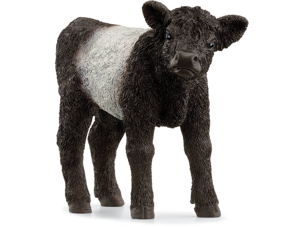 Farm World Vitello Galloway di Schleich 13969