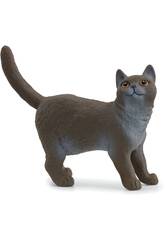 Farm World Gatto Inglese a pelo corto Schleich 13973