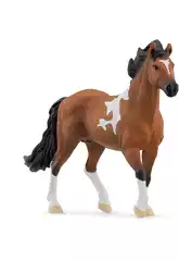 Horse Club Étalon Mangalarga Marchador de Schleich 13978