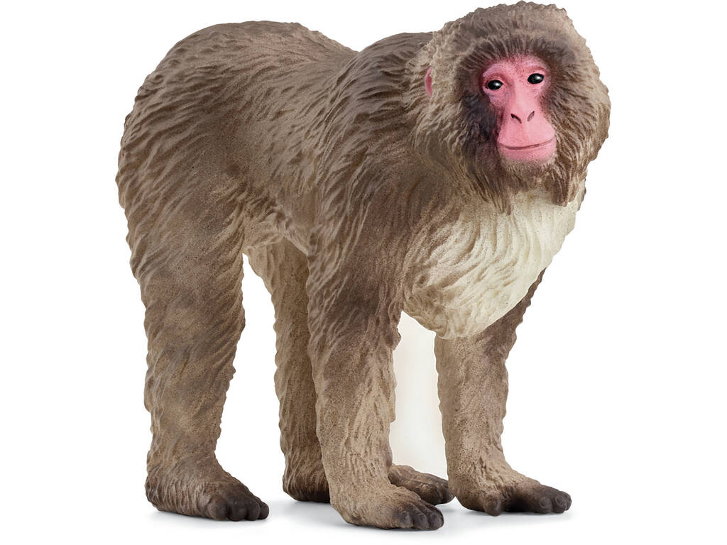 Vie sauvage Schleich Macaque japonais 14871