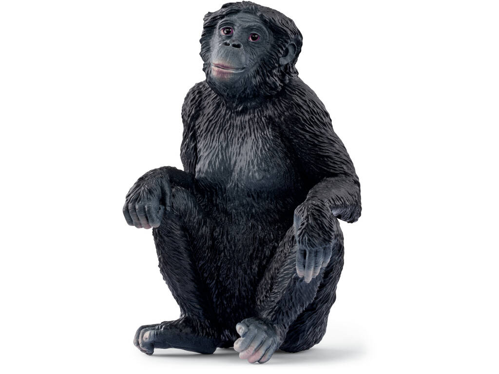 Vie sauvage Bonobo femelle Schleich 14875