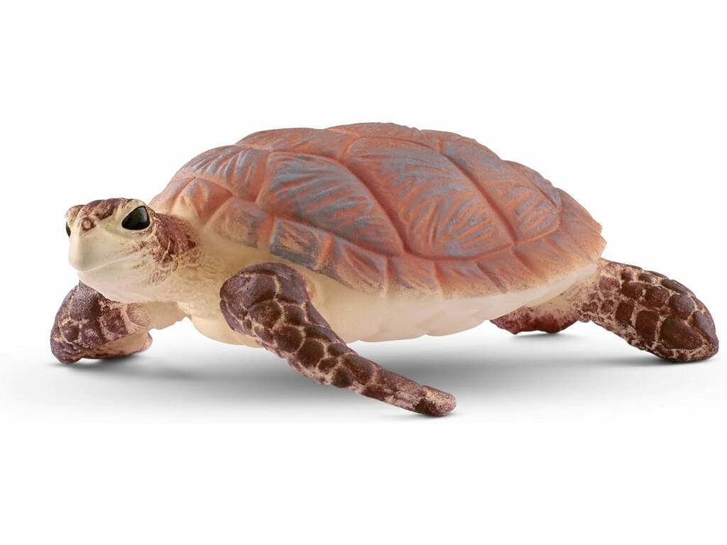 Vie sauvage Tortue de mer