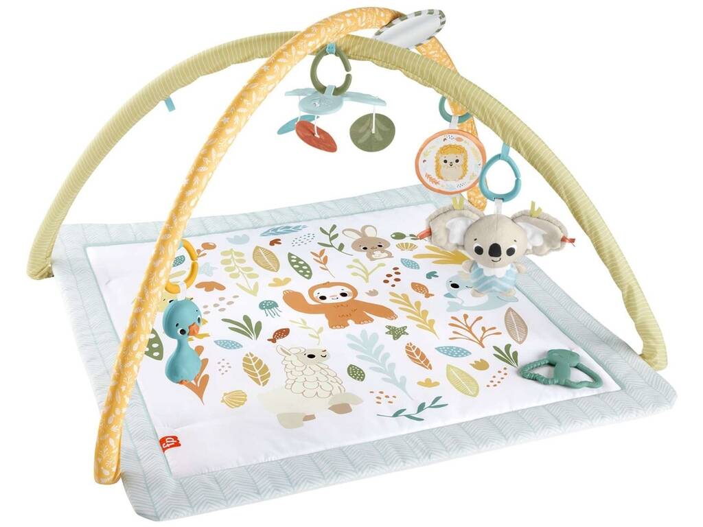 Gymnase pour enfants Fisher Price Awaken Your Senses Mattel HRB15