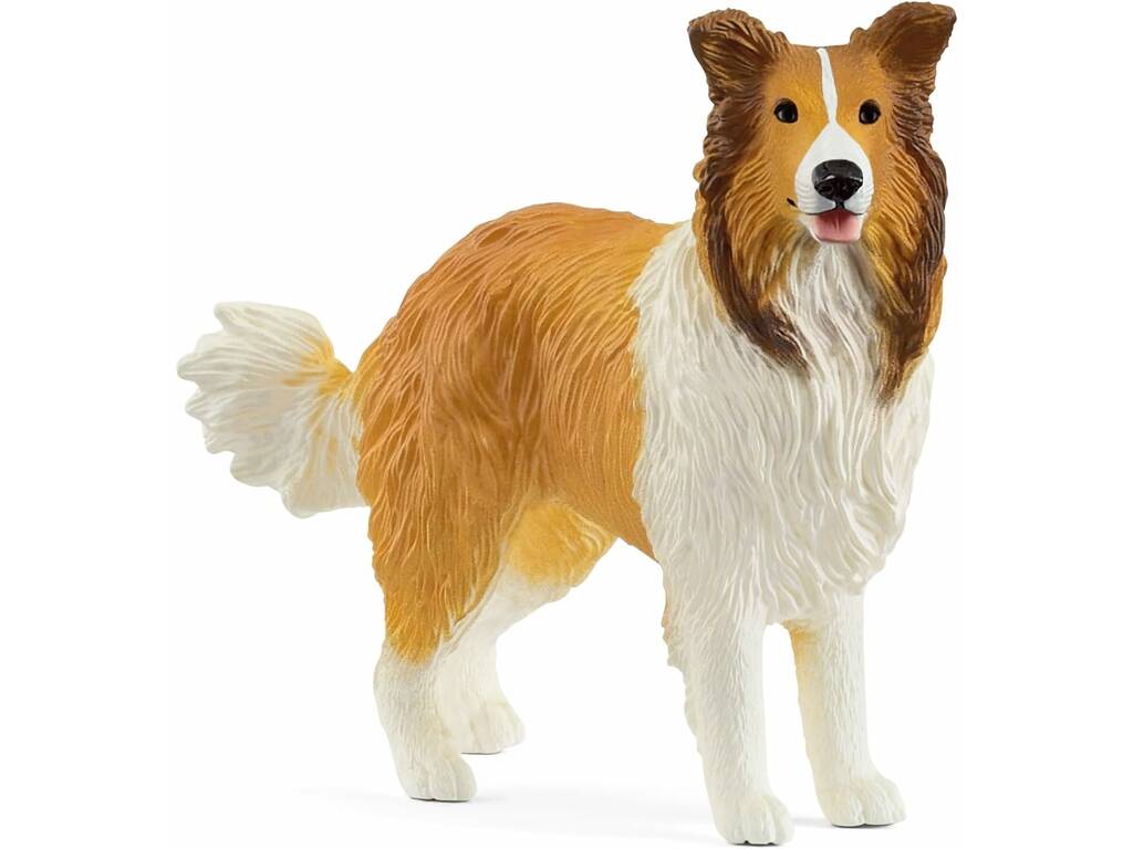 Collie du monde agricole