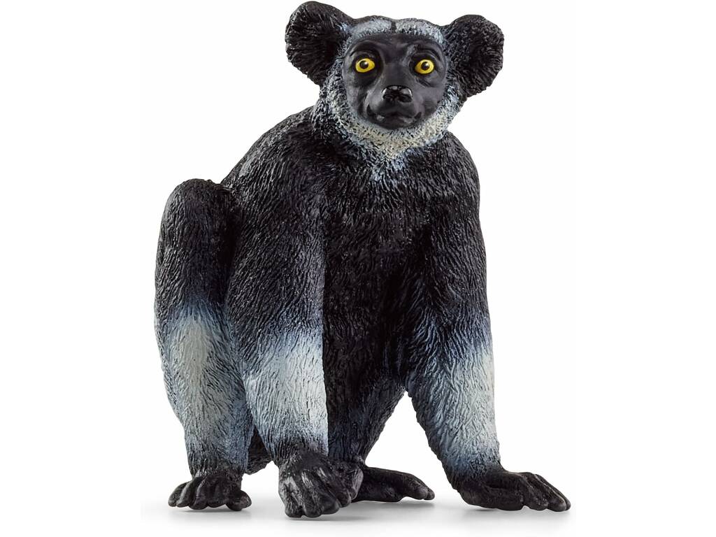 Vie sauvage Indri