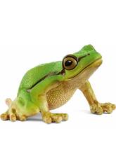 Rainette europenne Wild Life