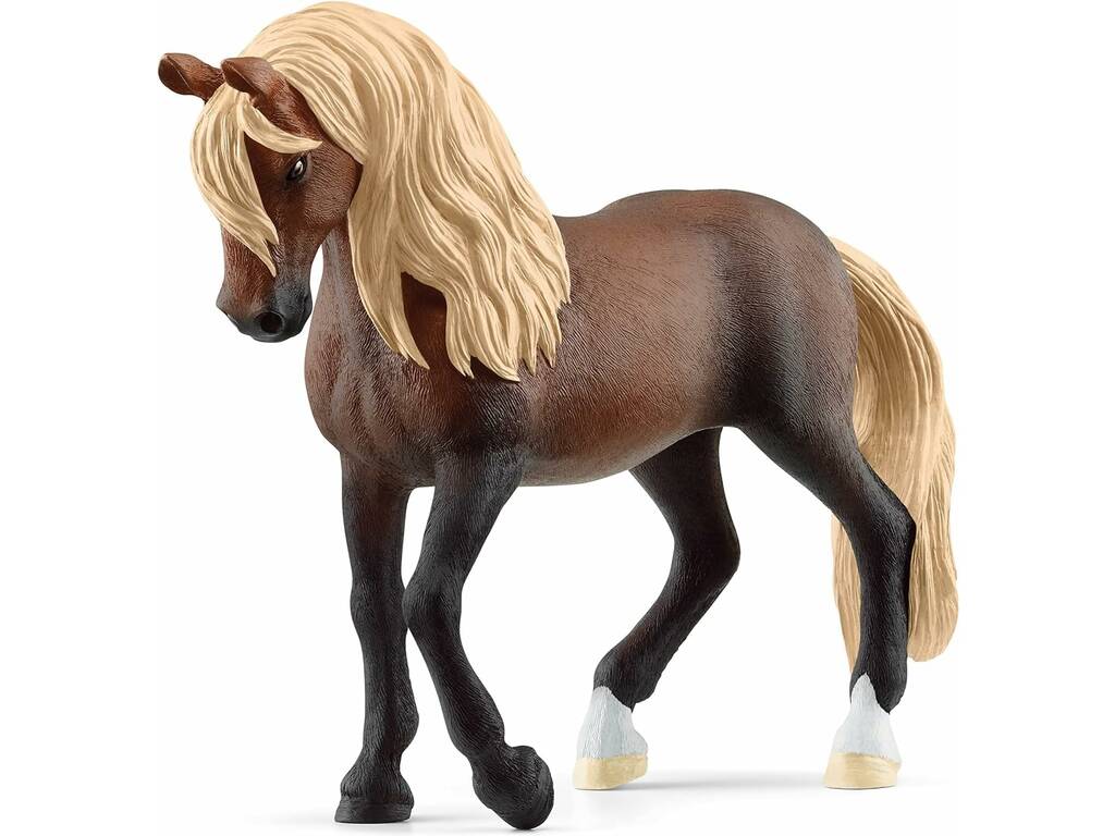 Horse Club Peruvian Paso Stallion