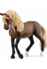 Horse Club Peruvian Paso Stallion