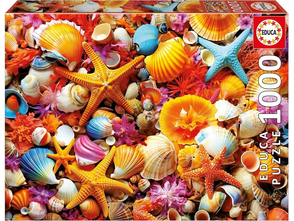 Puzzle 1000 Collage de coquillages