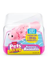 Zuru Pets Alive Swimming Axolotls Nageurs
