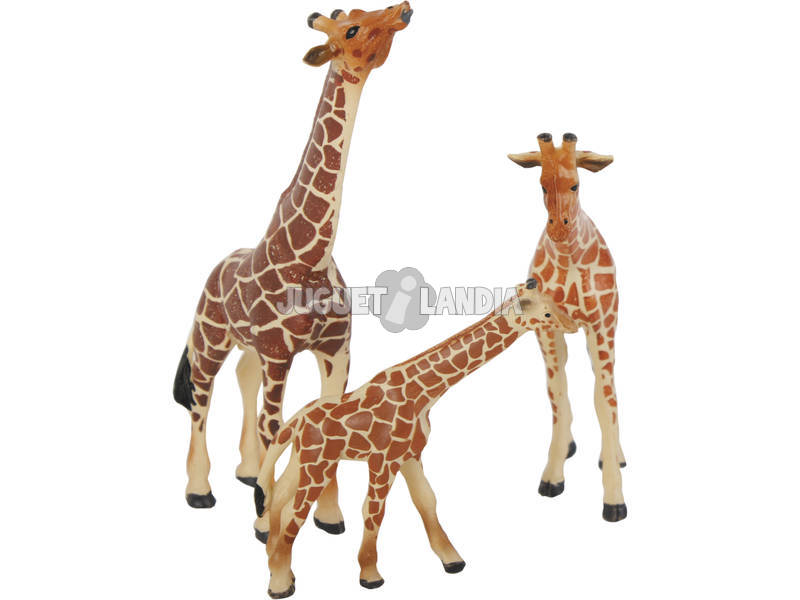 Girafes Set 3 Pièces