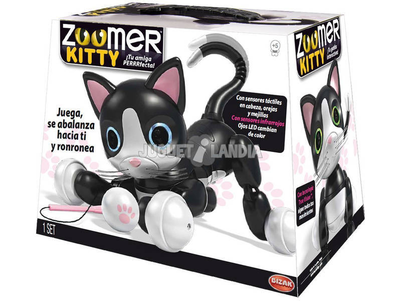  Zoomer Kitty