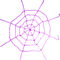 imagen Tela de araña Purpura 200x200 cm.