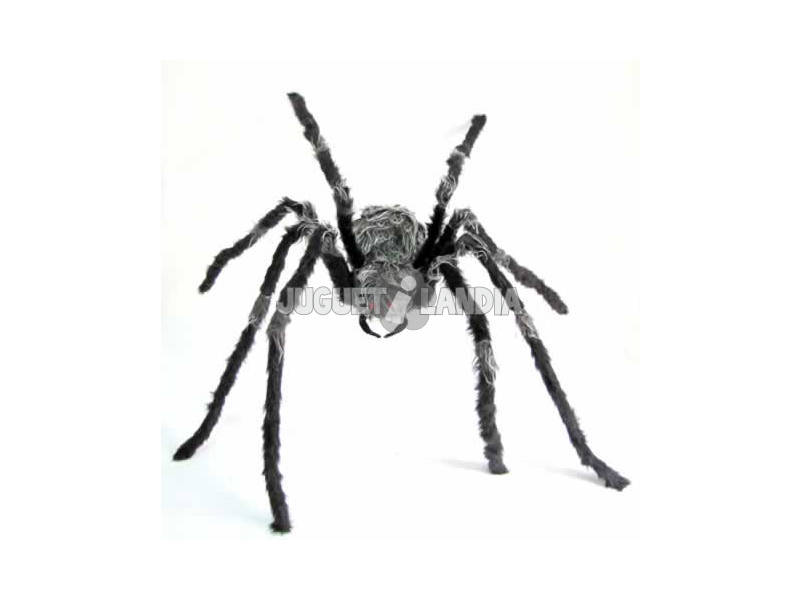 Araignée poilue moyenne gris-noir
