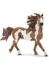 Cheval Pinto