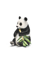 Ours Panda G�ant