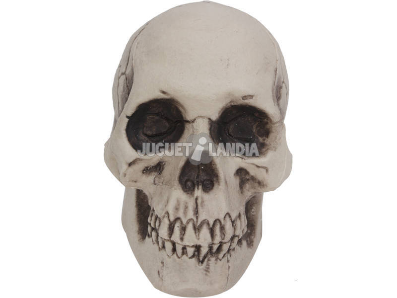 Crâne 7 cm