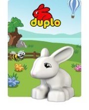 Duplo